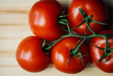 domatesin latince ismi